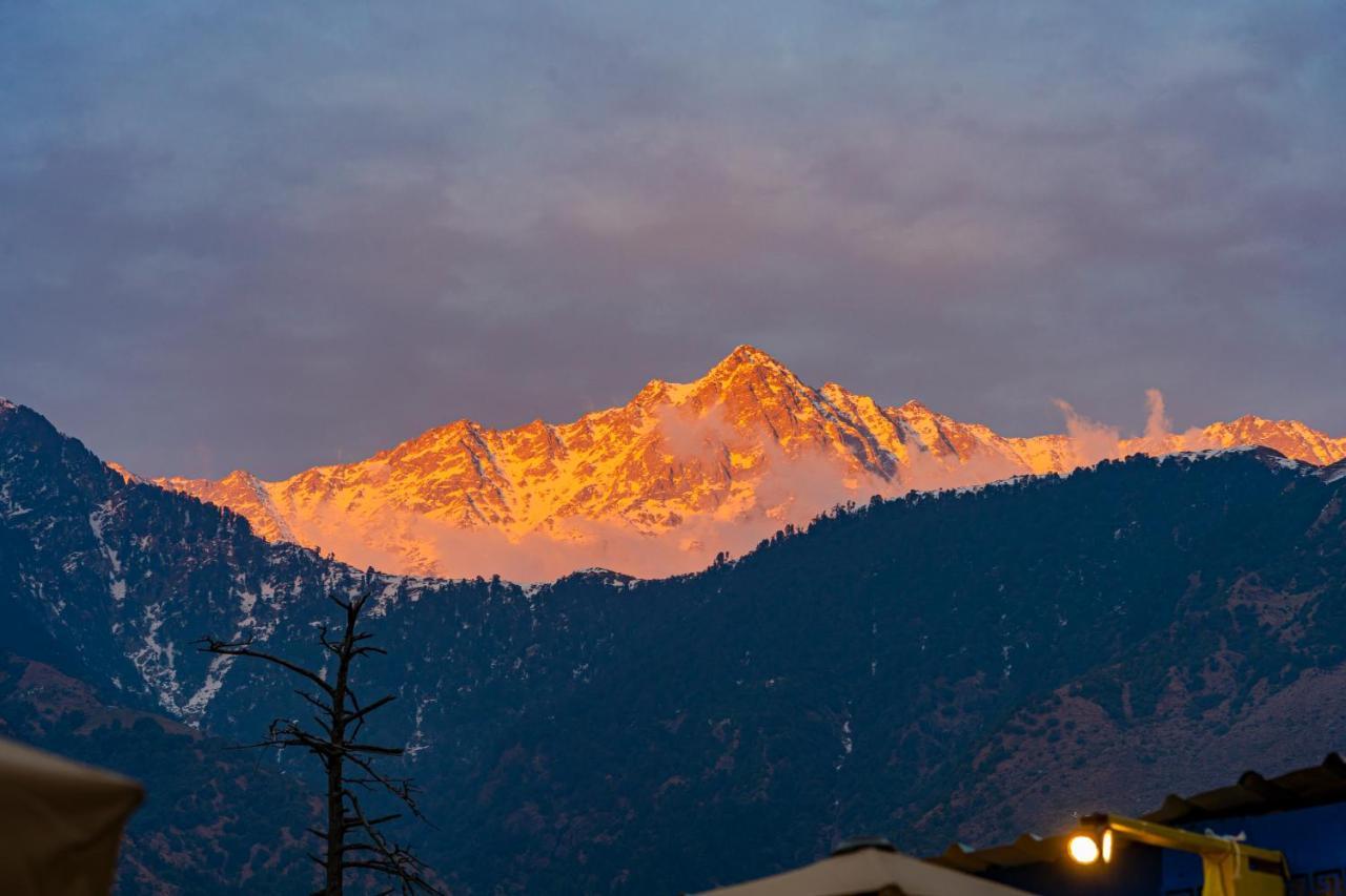The Hosteller Mcleodganj, Mall Road McLeod Ganj Exterior photo